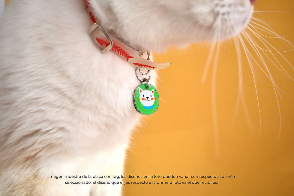 Miniatura: Placa con QR diseño Sara Qrarte Pets