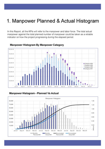 RP - Resources & Manpower Report – Histogram-Based Labor Insight ...