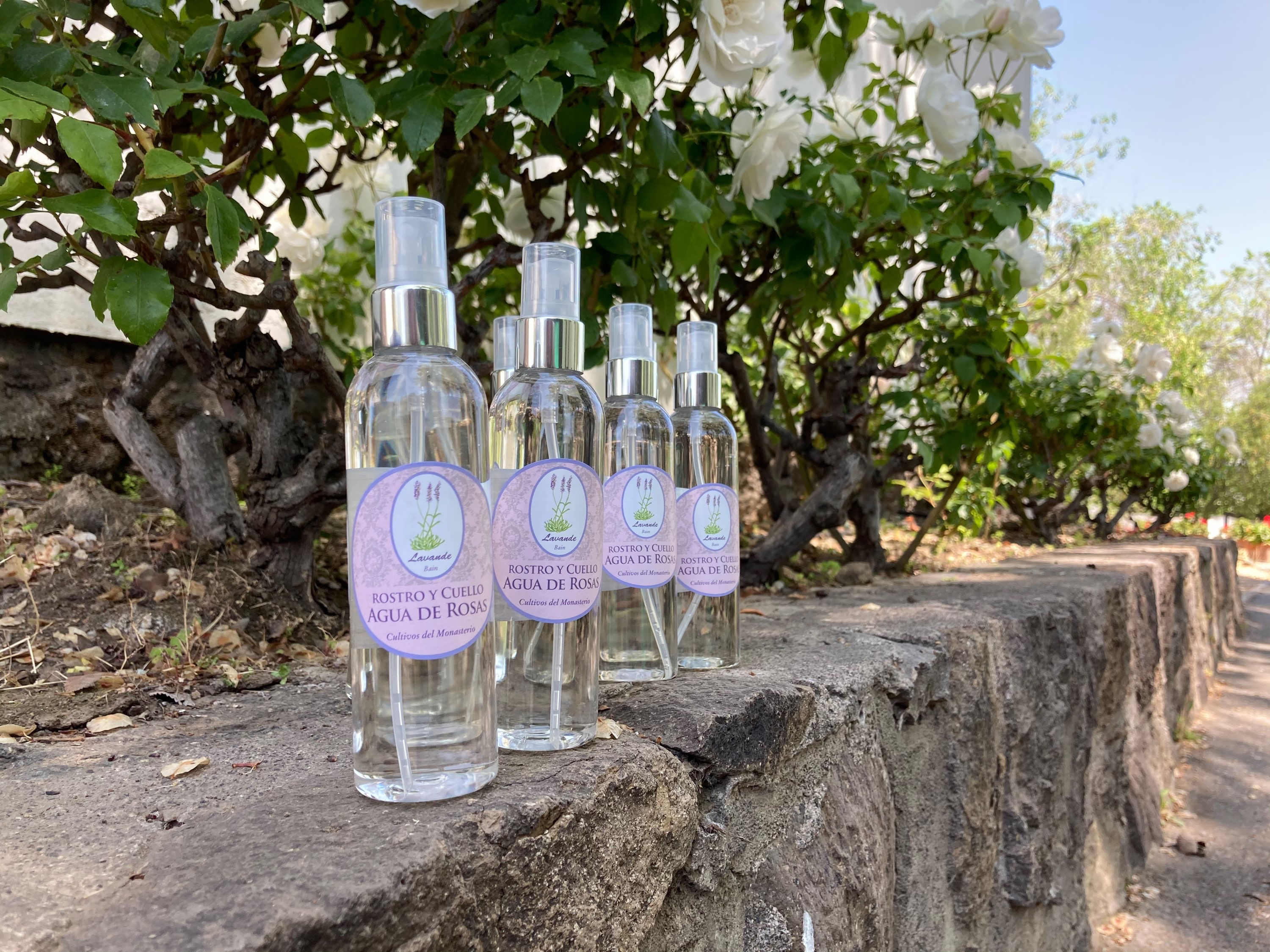 AGUA DE ROSTRO, ROSAS