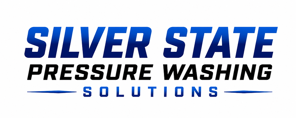 silver State pressure washing solutions logo header.png