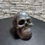 Thumbnail: Decorative Silver Skull