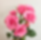 BRIDAL PINK