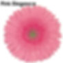 PINK ELEGANCE