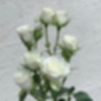 WHITE SNOWFLAKE