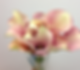 CALLA
