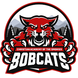 MAIN LOGO 2.png