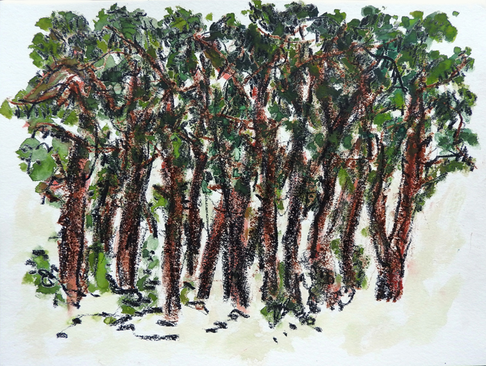 „Kiefernwald”