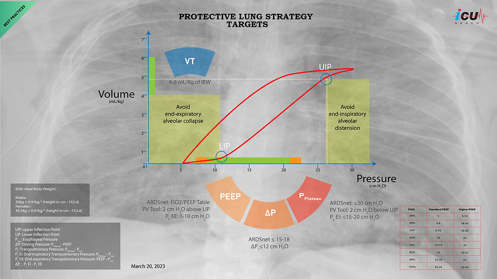 Protective Lung Strategy Targets