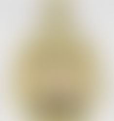 Mechanical Ventilation in Obese Patients