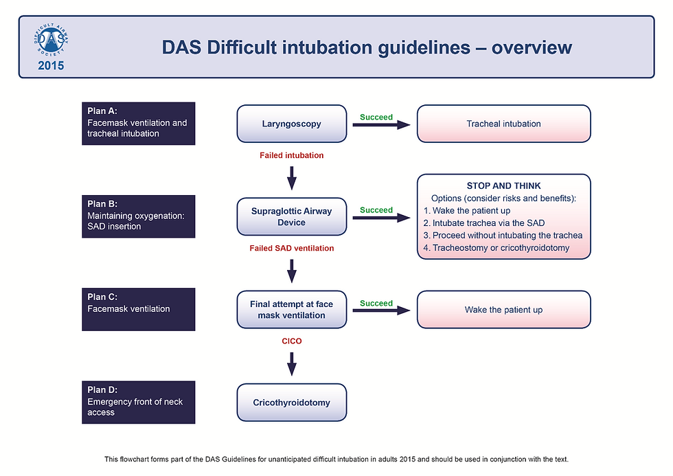 The Terrifying Scenario of Cannot Intubate and Cannot Oxygenate!