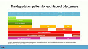 Beta-lactamases and Beta-lactamase Inhibitors: What does the Intensivist Need to Know?