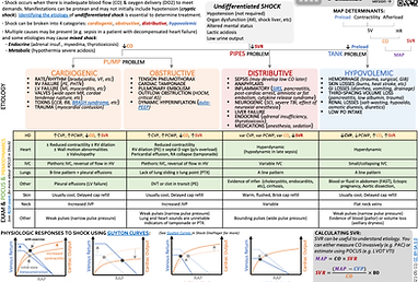 Approach to Undifferentiated Shock