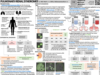 Pulmonary-renal Syndromes