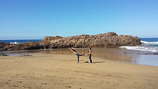 Anne Vogel Fuerteventura AcademyaO Yoga Strand Beach Playa