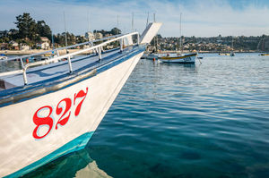 Bote a la Isla