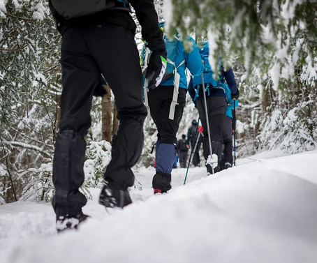Meilleures Destinations Pour Profiter des hivers : Embrassez la Magie de la Saison