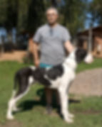 Ruff 04
