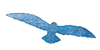 birds2.png