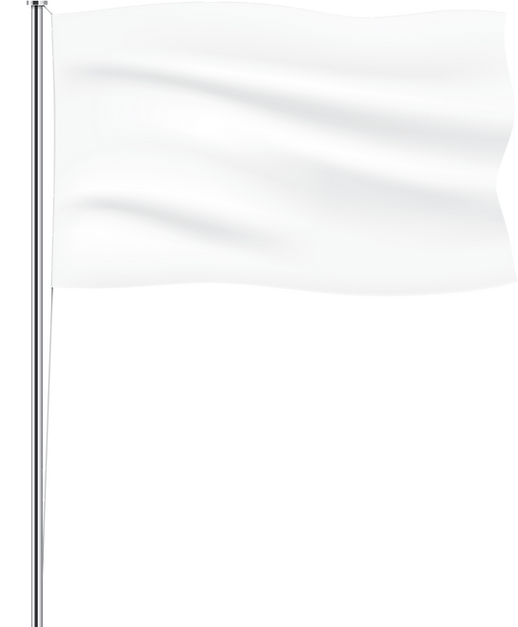 flag_3x.png