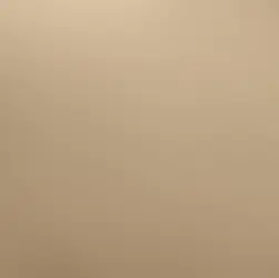 What Are the Requirements for Creating a Valid Olographic Will in Louisiana?