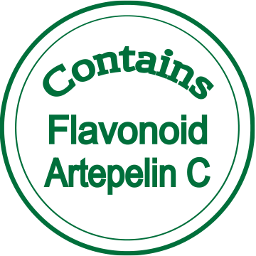 flavonoid.gif