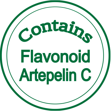 Flavonoid and Artepelin C