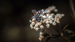 DSC_6379-Modifier