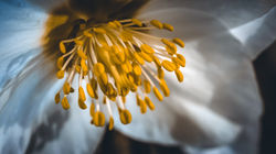 DSC_1876-Modifier