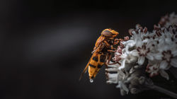 DSC_6754-Modifier