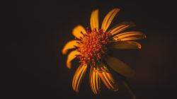 DSC_5983-Modifier-Modifier