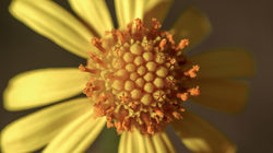 DSC_6013-Modifier