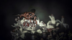 DSC_6159-Modifier