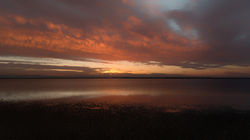 DSC_9705-Modifier