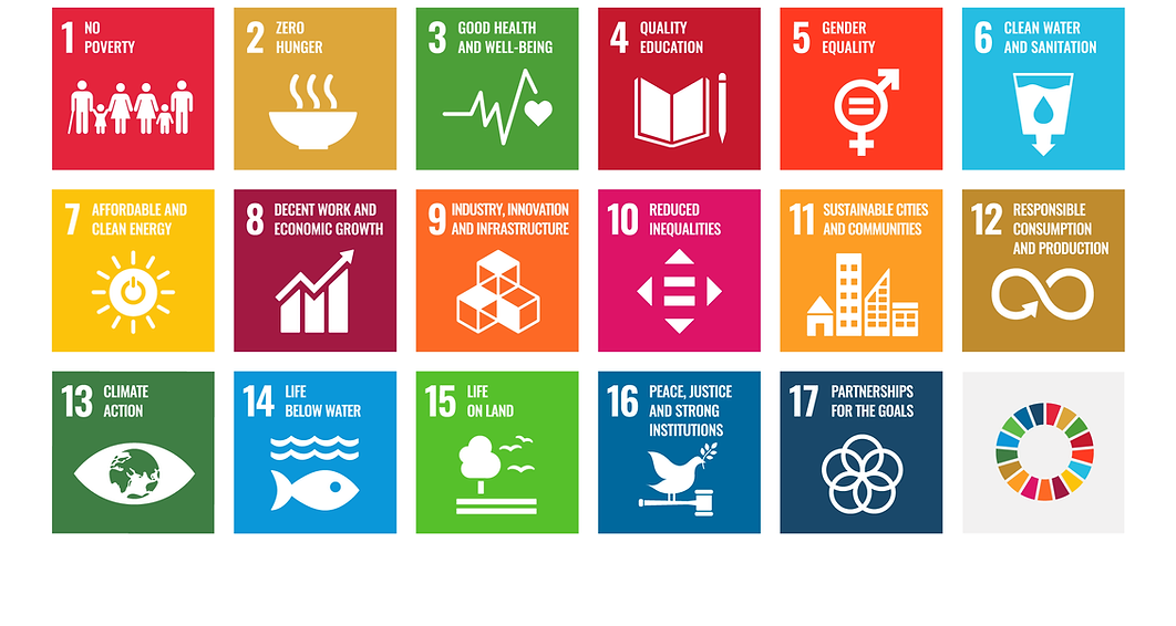 17 United Nations S.D.G.s
