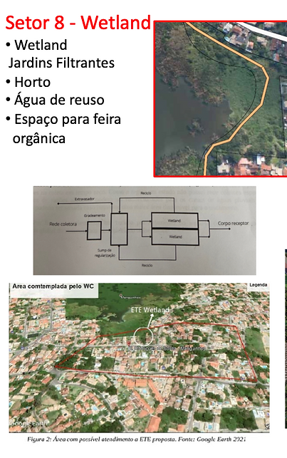wetland.png