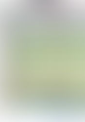 Calendriers pédagogiques 2018-2019