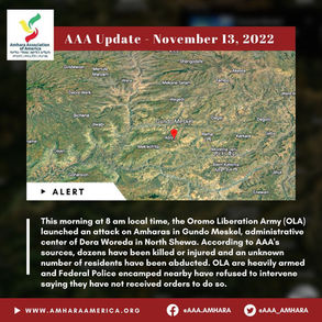 AAA Update - November 13, 2022