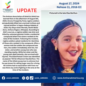 Oromo Prosperity Party Soldiers Killed Two Unarmed Civilians in Kobo City