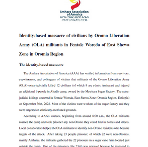 Identity-based massacre of civilians by Oromo Liberation Army (OLA) militants in Fentale Woreda