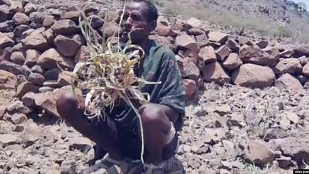 VOA Amharic - Worsening Hunger Leads to Deaths of People and Animals in Wag Hemra Zone