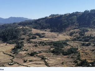 DW Amharic – Rising military standoff and mobilization on the Raya Alamata front