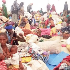 DW Amharic - Cries of IDPs in a Shelter in South Wollo