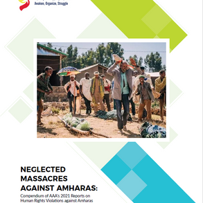 AAA Annual Human Rights Report, May 2022