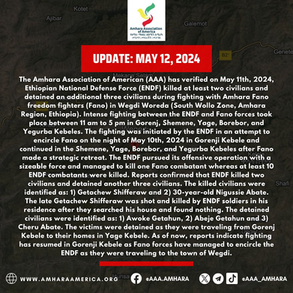 Abiy Regime Forces Killed Two Civilians and Detained Three in Wegdi Woreda, May 11th, 2024