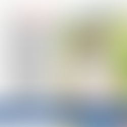 Abduction of Balderas Party Official, Natnael Yalemzewd by Government Forces in Addis Ababa