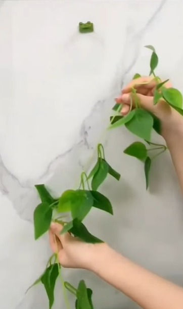 Thumbnail: 30 Pcs Plant Climbing Fixing Clip Multi purpose used garden, balcony, cable ETC.