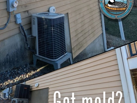 Everything and the Kitchen Window: The Twin Cities' Ultimate Exterior Cleaning Package