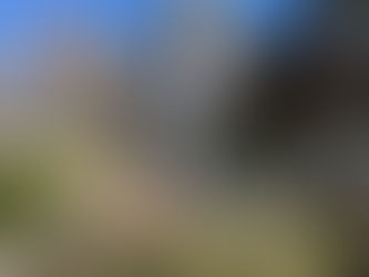 Exterior Cleaning That Rosemount Homeowners Trust