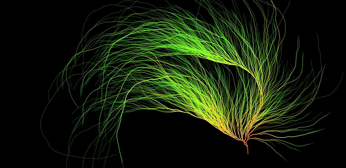 Screenshot 2026-06-25 at 11.40.03 AM.png