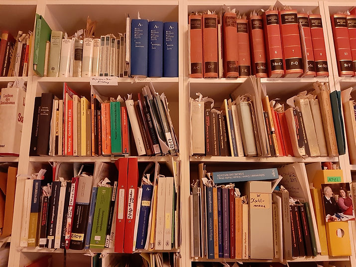 Ausschnitt aus dem Bücherregal von Dietrich Böhler